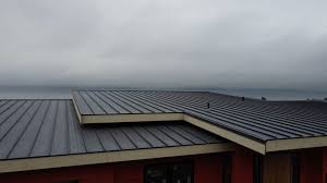 Steel Roofing in Farmington, MI